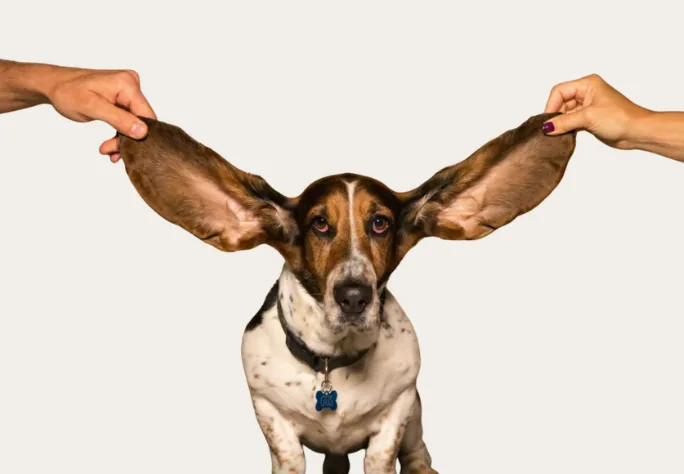 We're listening